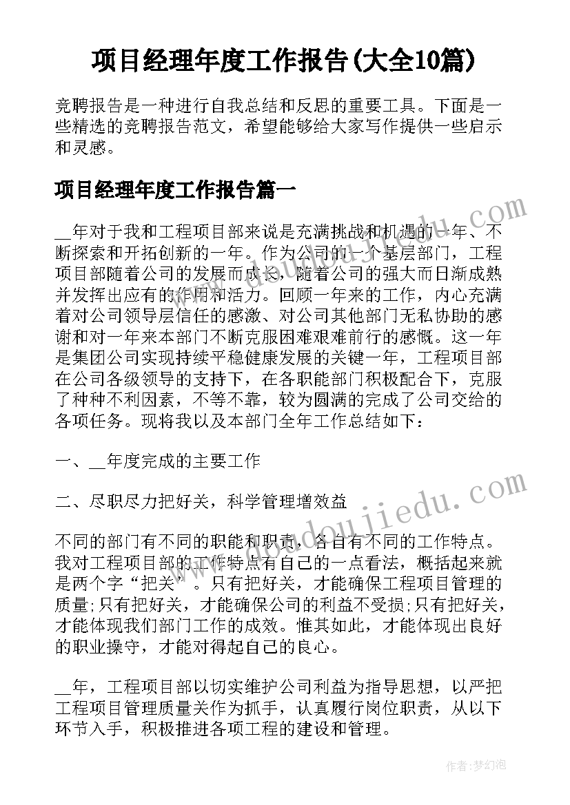 项目经理年度工作报告(大全10篇)