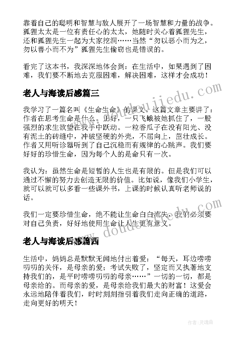 2023年老人与海读后感 小学三年级读后感(优质13篇)