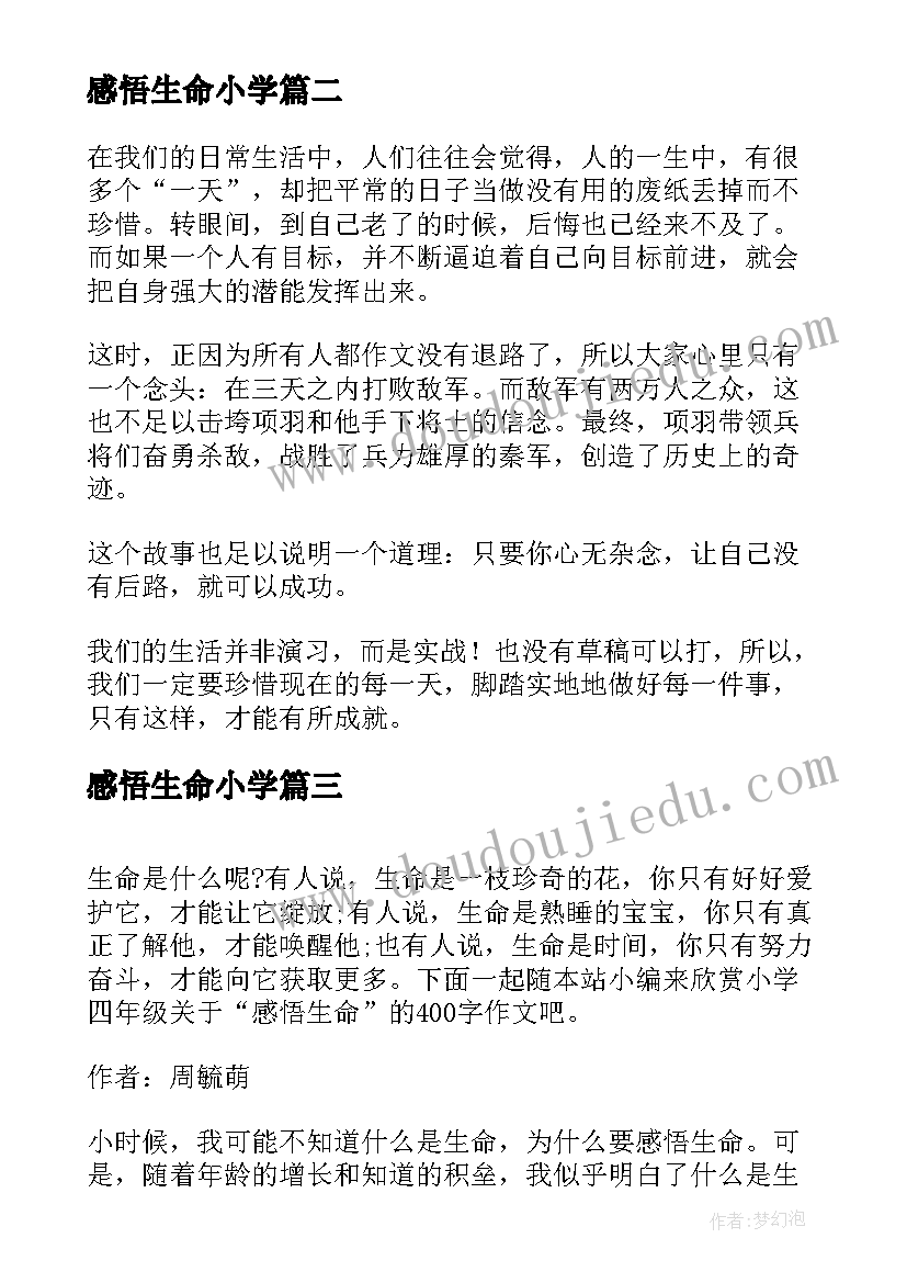 最新感悟生命小学 感悟生命四年级(优质8篇)