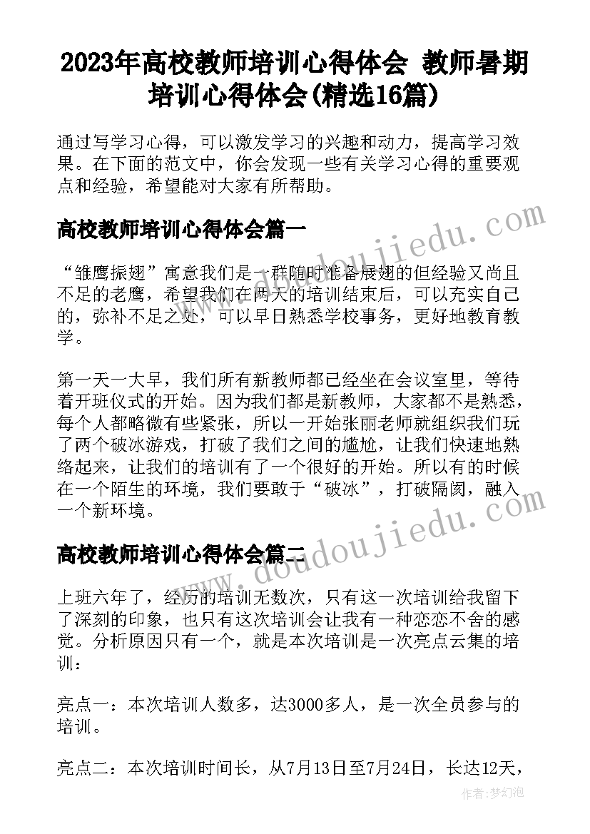 2023年高校教师培训心得体会 教师暑期培训心得体会(精选16篇)