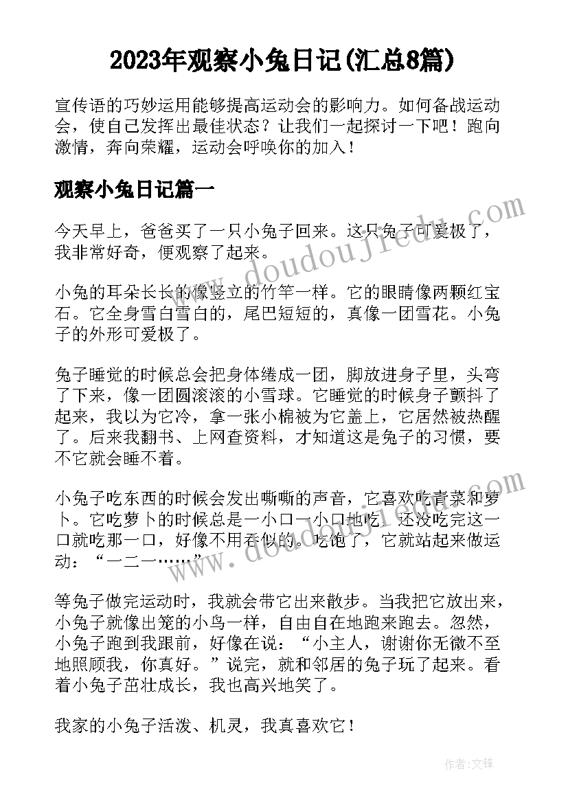 2023年观察小兔日记(汇总8篇)