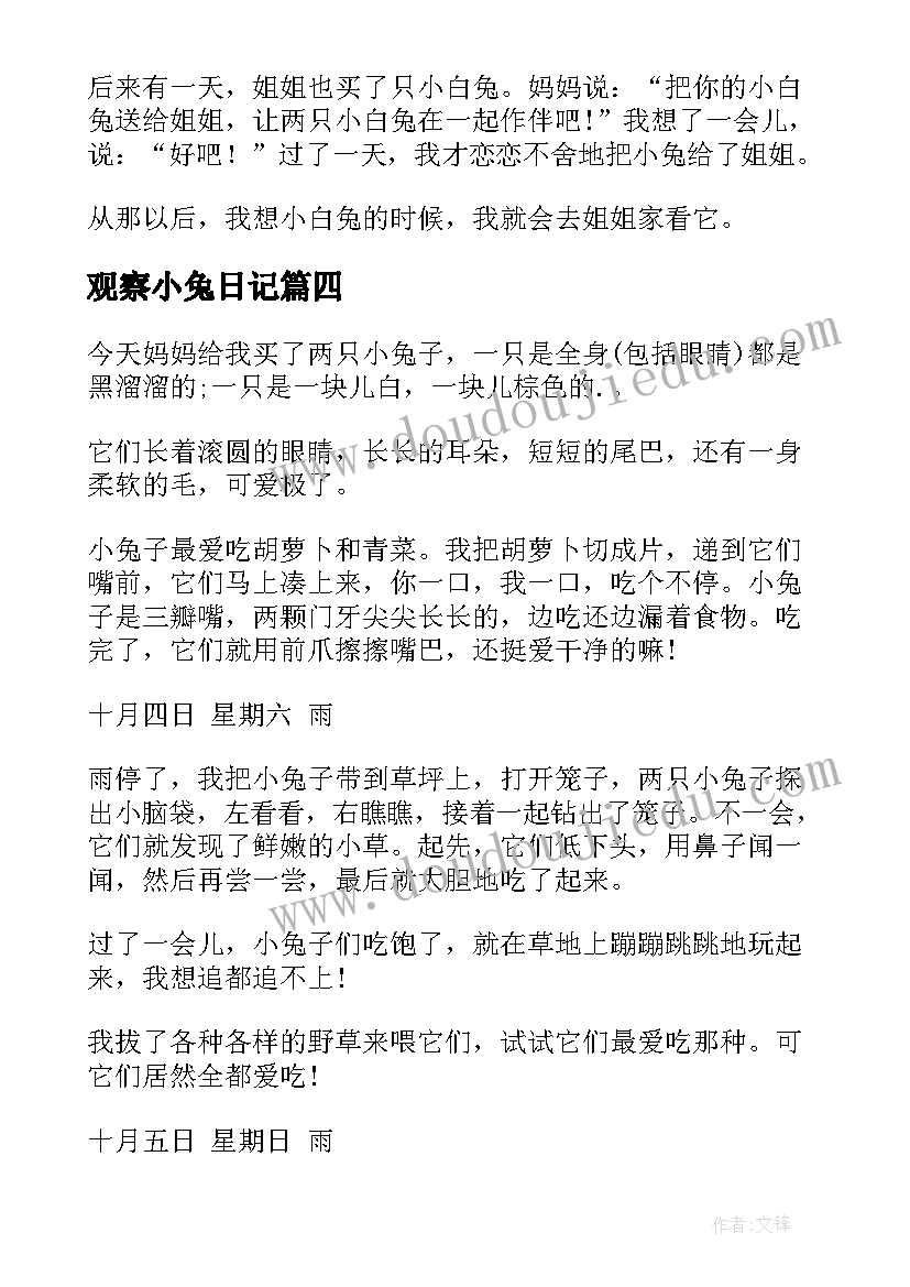 2023年观察小兔日记(汇总8篇)