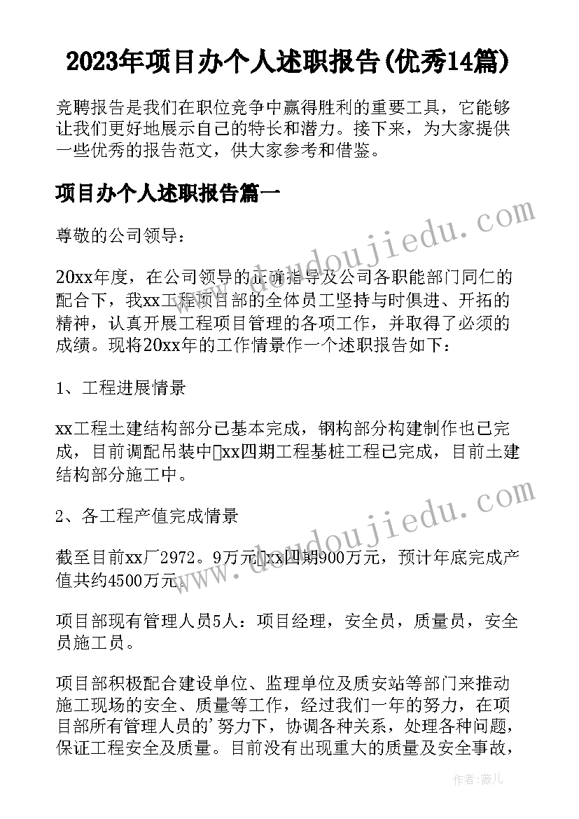 2023年项目办个人述职报告(优秀14篇)