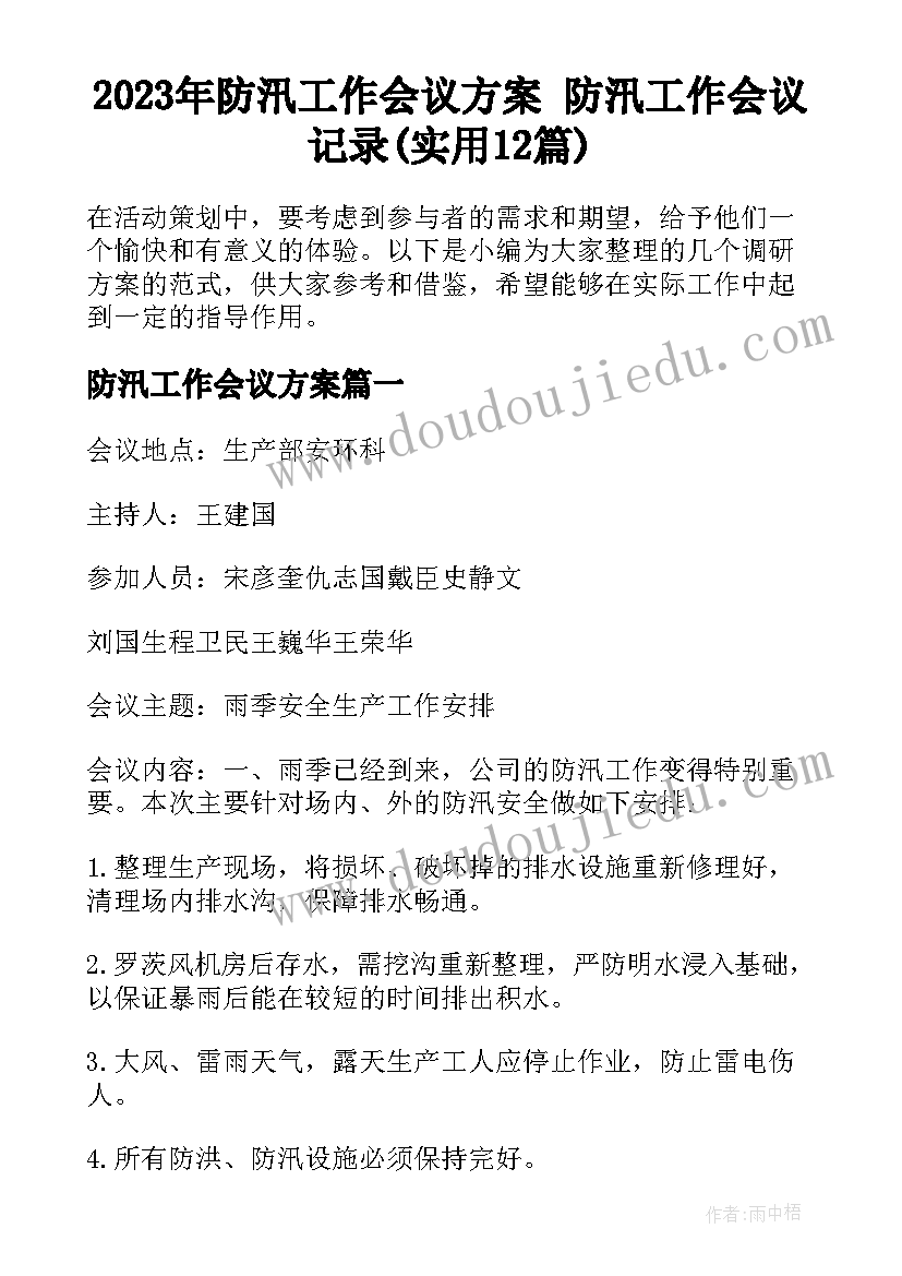 2023年防汛工作会议方案 防汛工作会议记录(实用12篇)