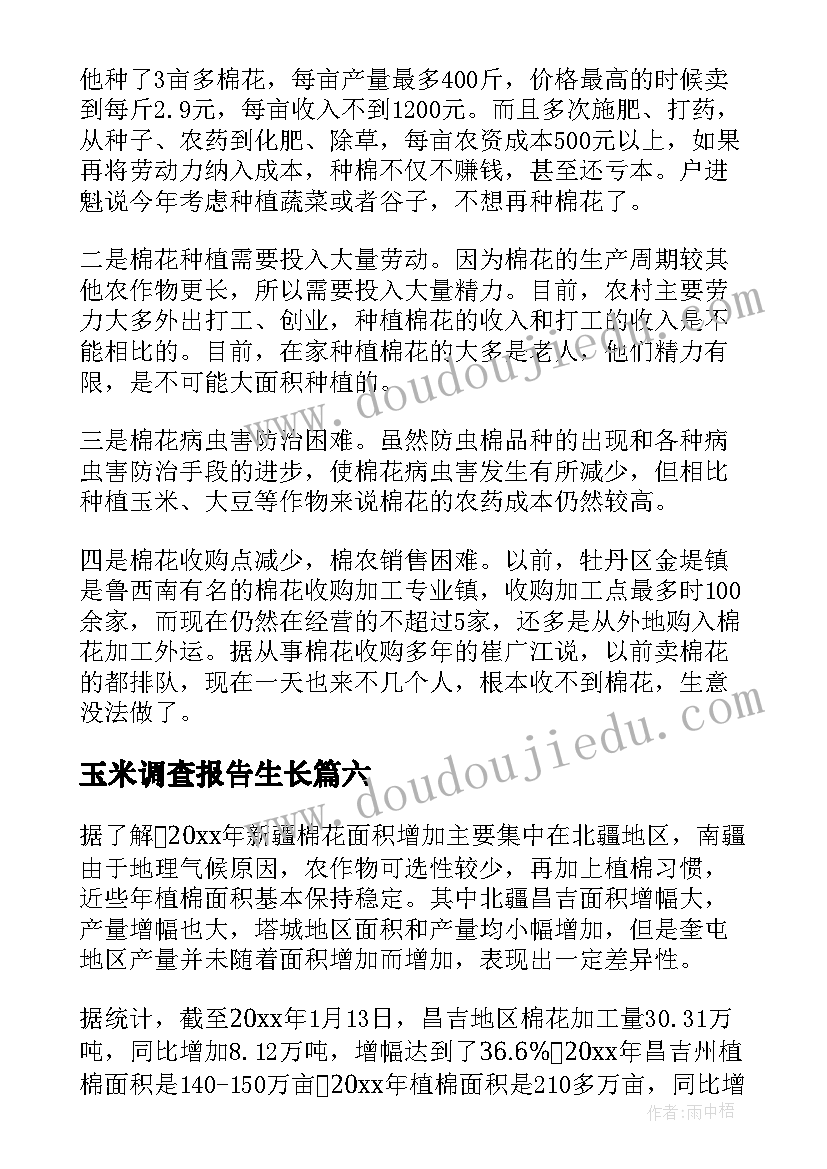 2023年玉米调查报告生长(实用8篇)