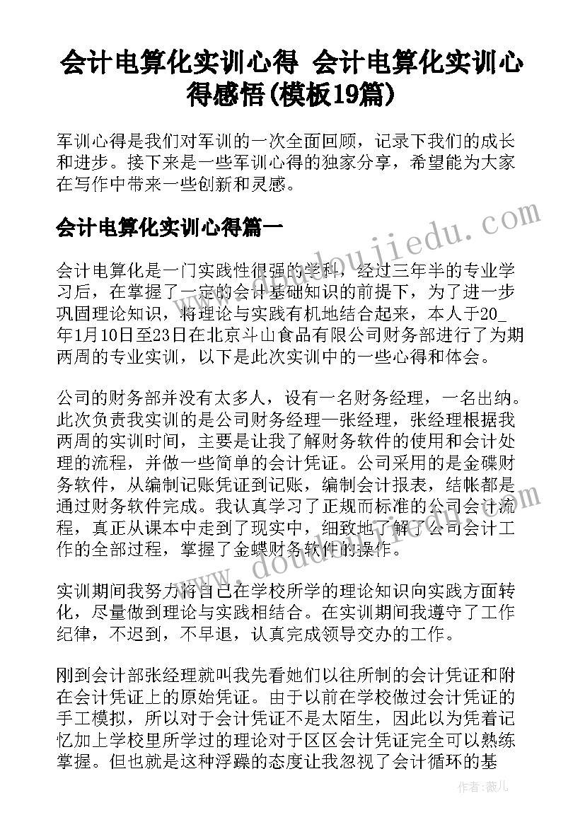 会计电算化实训心得 会计电算化实训心得感悟(模板19篇)