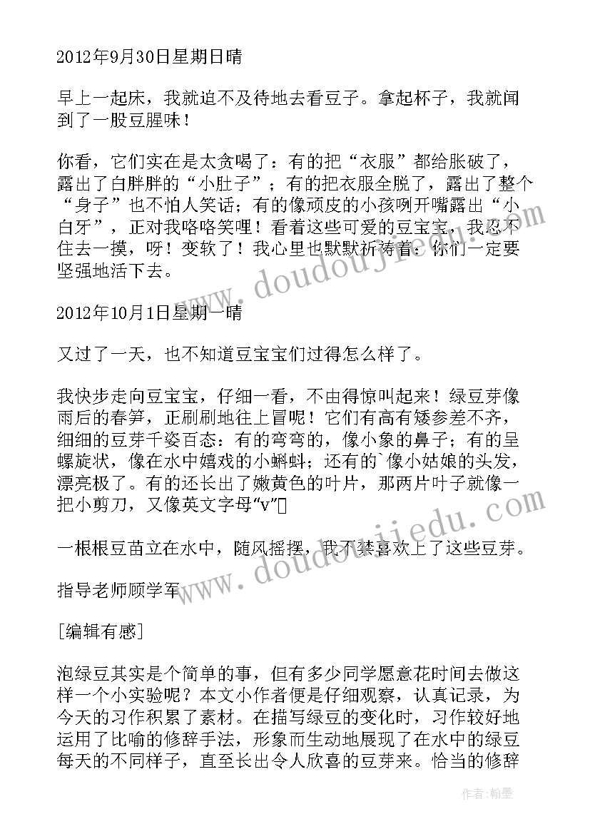 2023年观察日记植物绿豆发芽的过程天 植物观察日记绿豆(精选8篇)