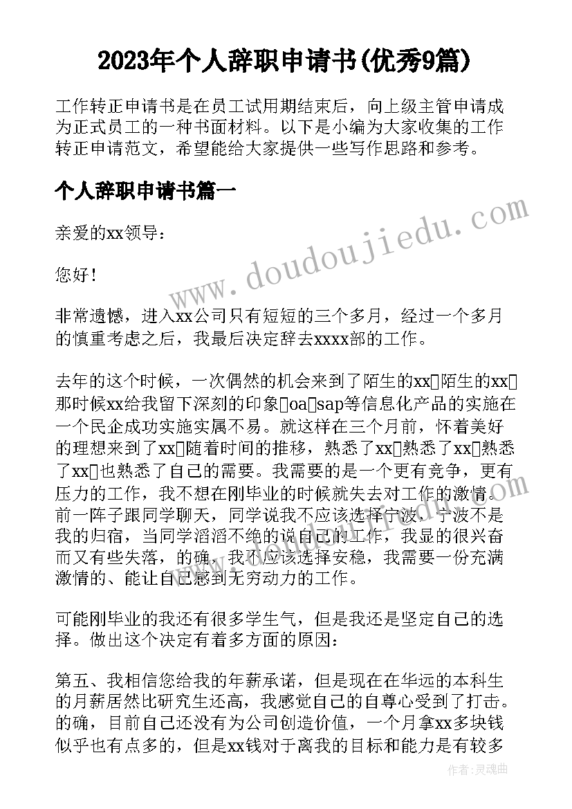 2023年个人辞职申请书(优秀9篇)