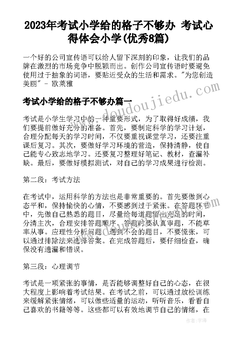 2023年考试小学给的格子不够办 考试心得体会小学(优秀8篇)