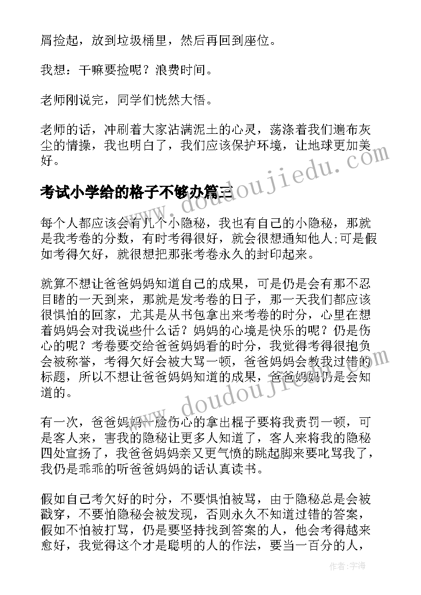 2023年考试小学给的格子不够办 考试心得体会小学(优秀8篇)