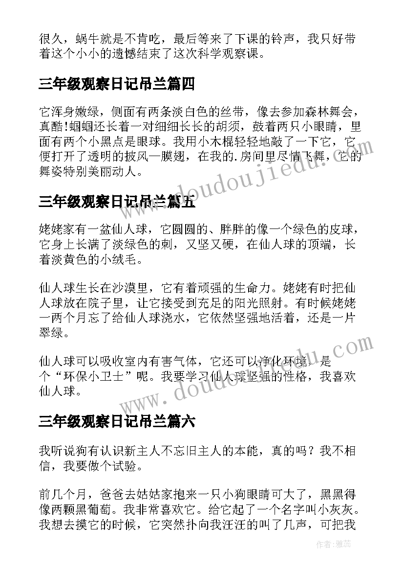 最新三年级观察日记吊兰 三年级观察日记(大全9篇)