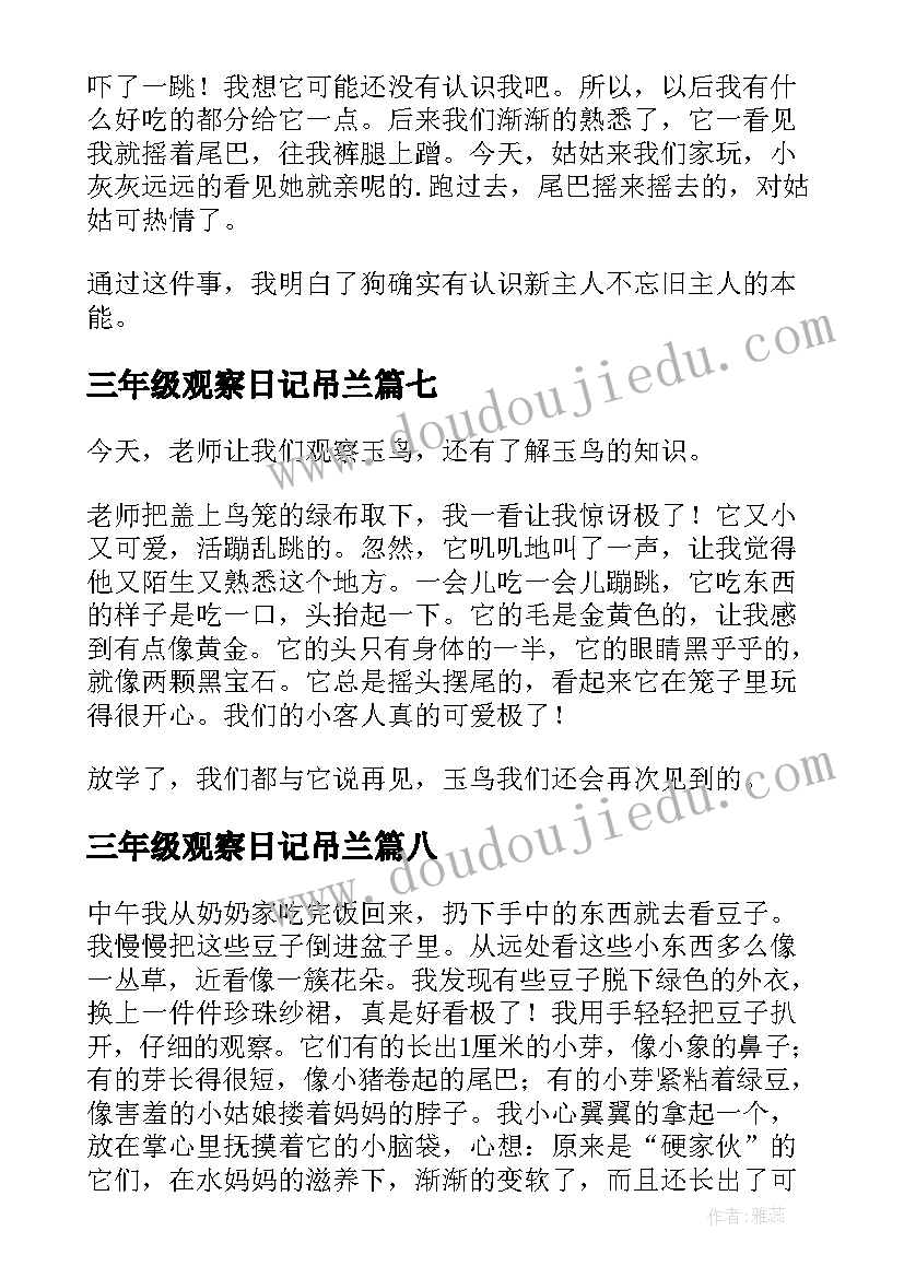 最新三年级观察日记吊兰 三年级观察日记(大全9篇)