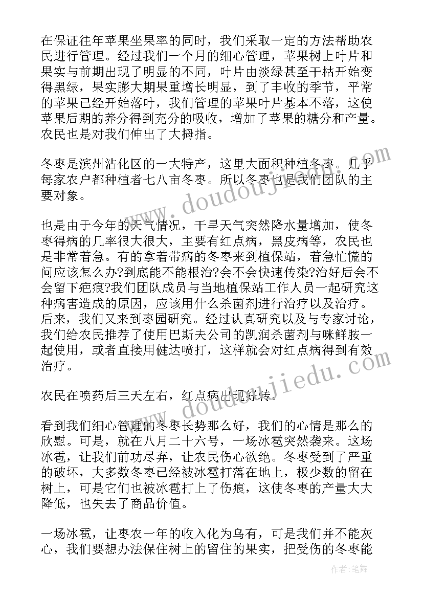 大学生下乡社会实践个人总结(精选17篇)