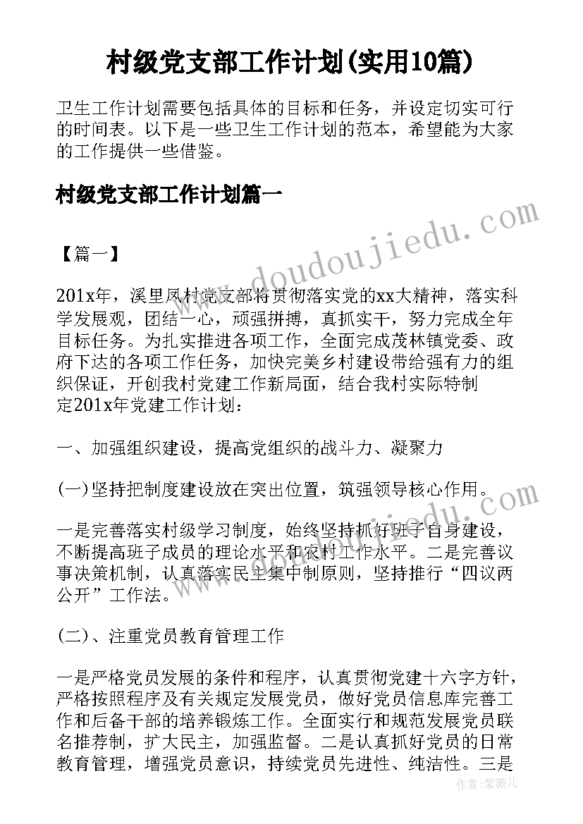 村级党支部工作计划(实用10篇)