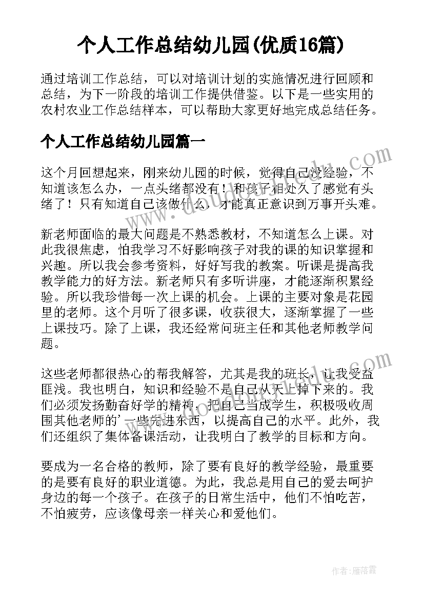 个人工作总结幼儿园(优质16篇)