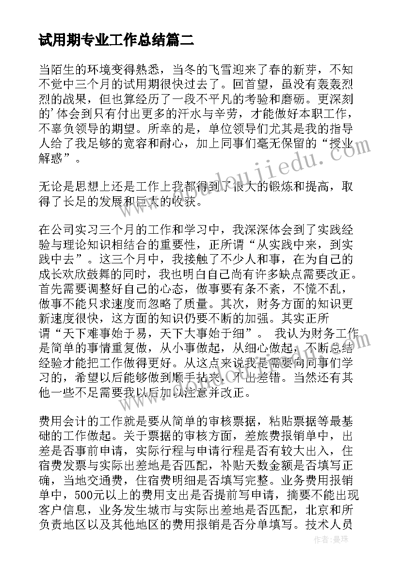 2023年试用期专业工作总结(大全8篇)