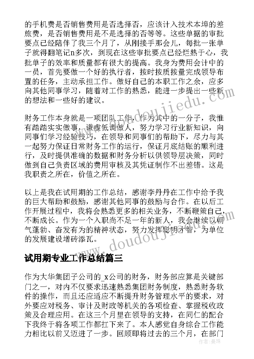 2023年试用期专业工作总结(大全8篇)