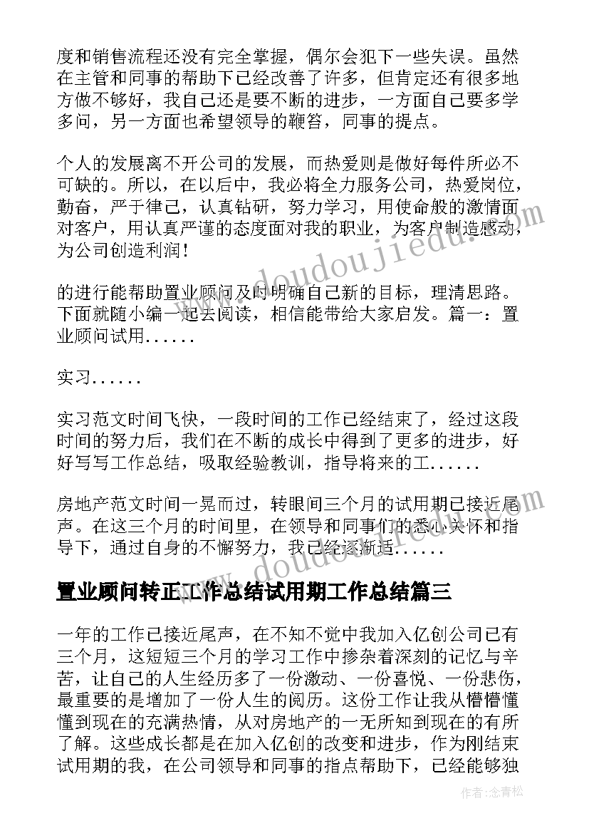 2023年置业顾问转正工作总结试用期工作总结 置业顾问试用期转正工作总结(汇总8篇)