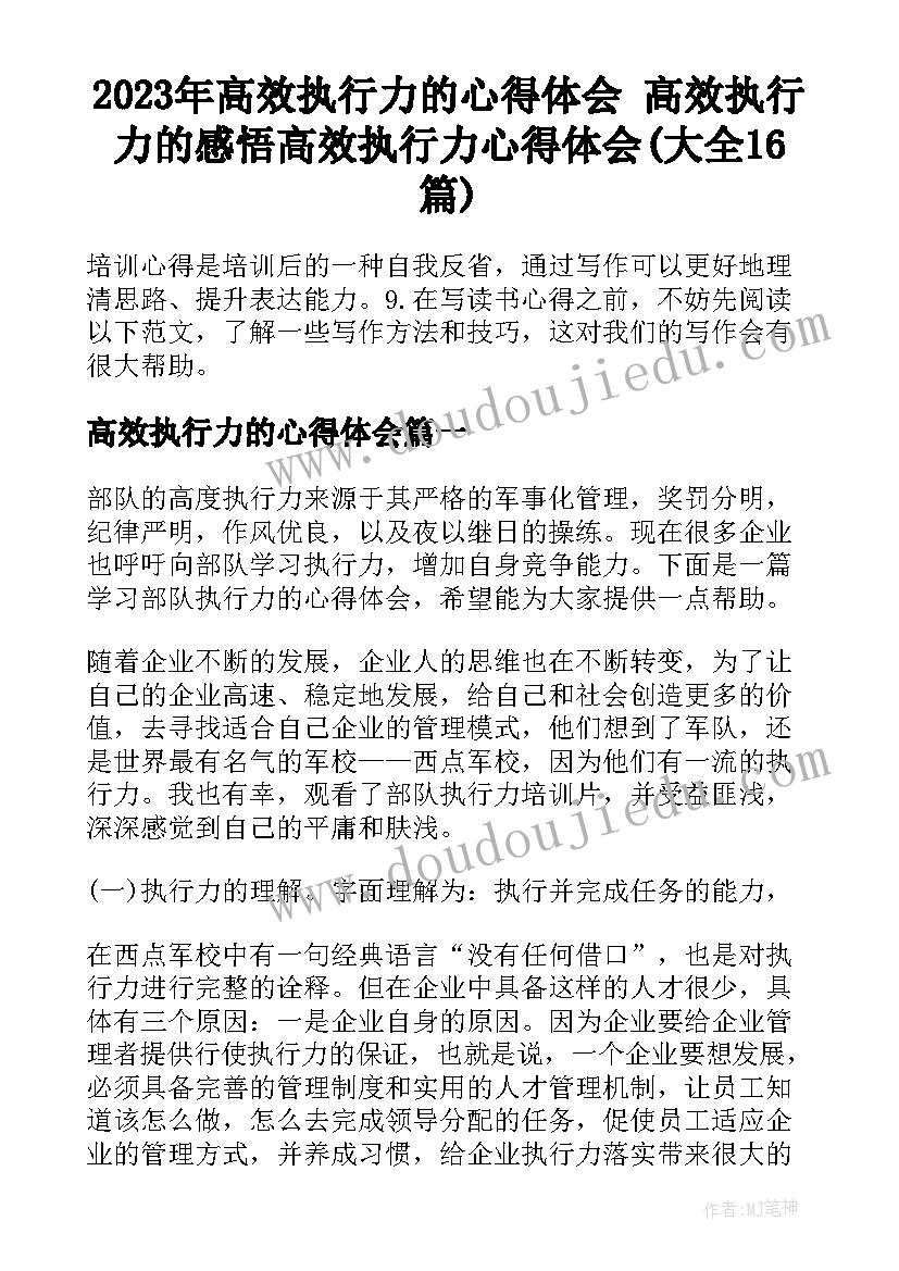 2023年高效执行力的心得体会 高效执行力的感悟高效执行力心得体会(大全16篇)