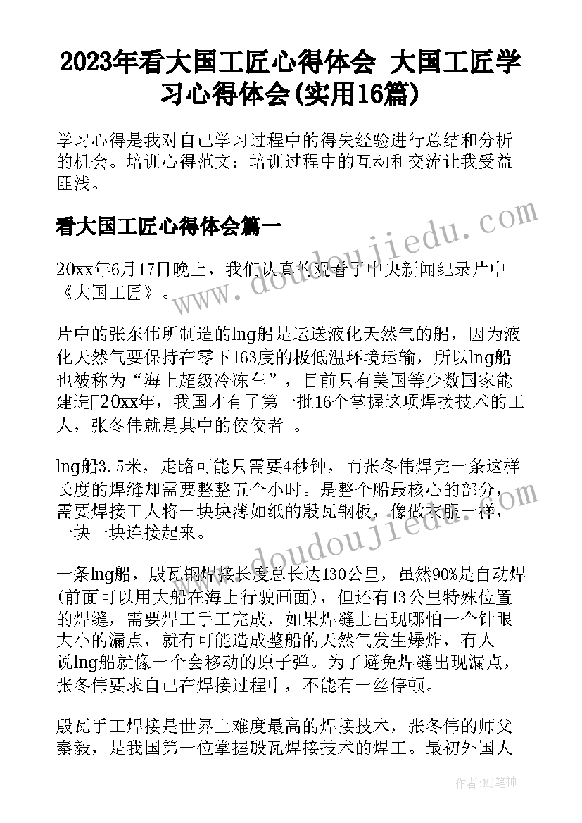 2023年看大国工匠心得体会 大国工匠学习心得体会(实用16篇)