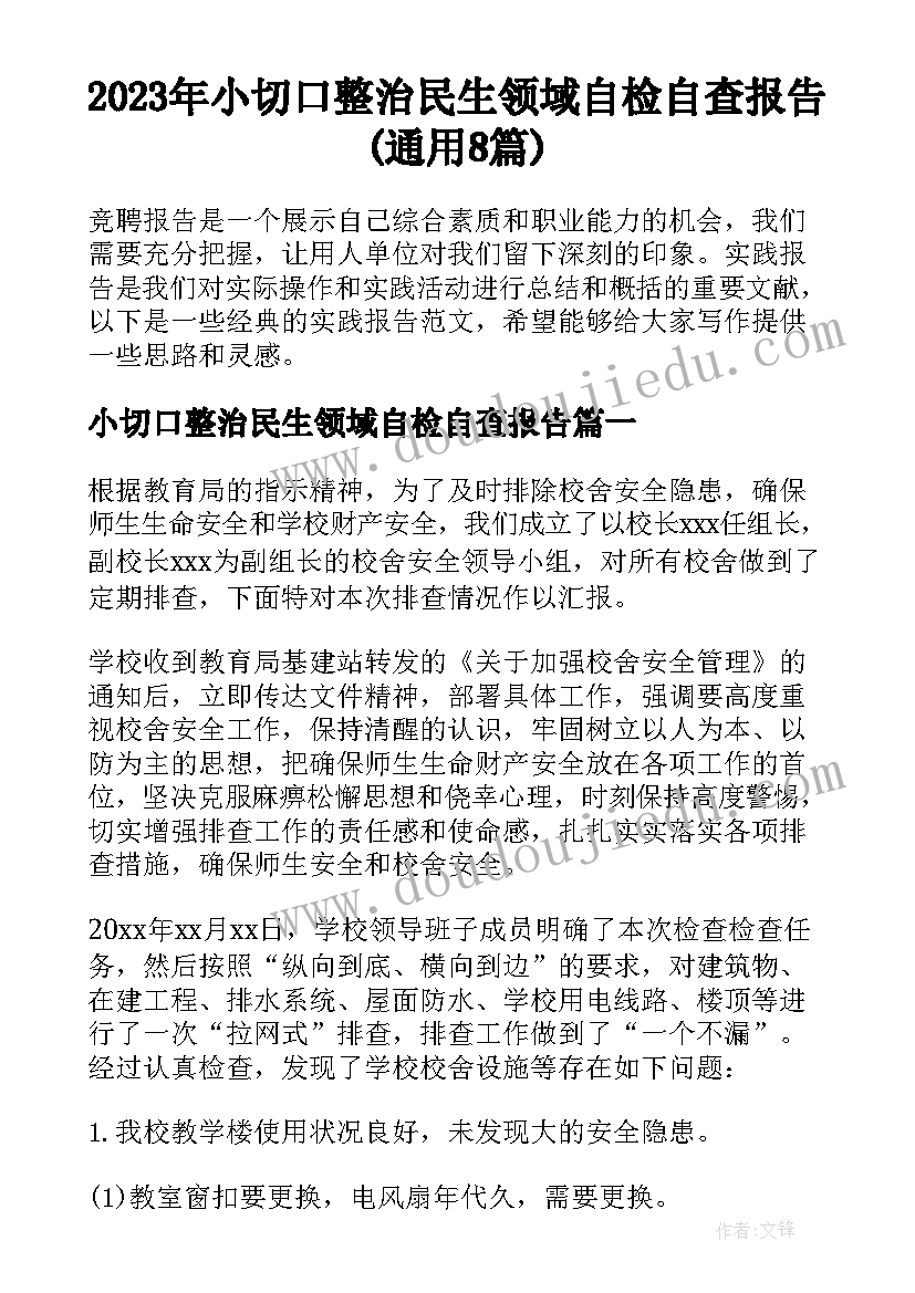 2023年小切口整治民生领域自检自查报告(通用8篇)