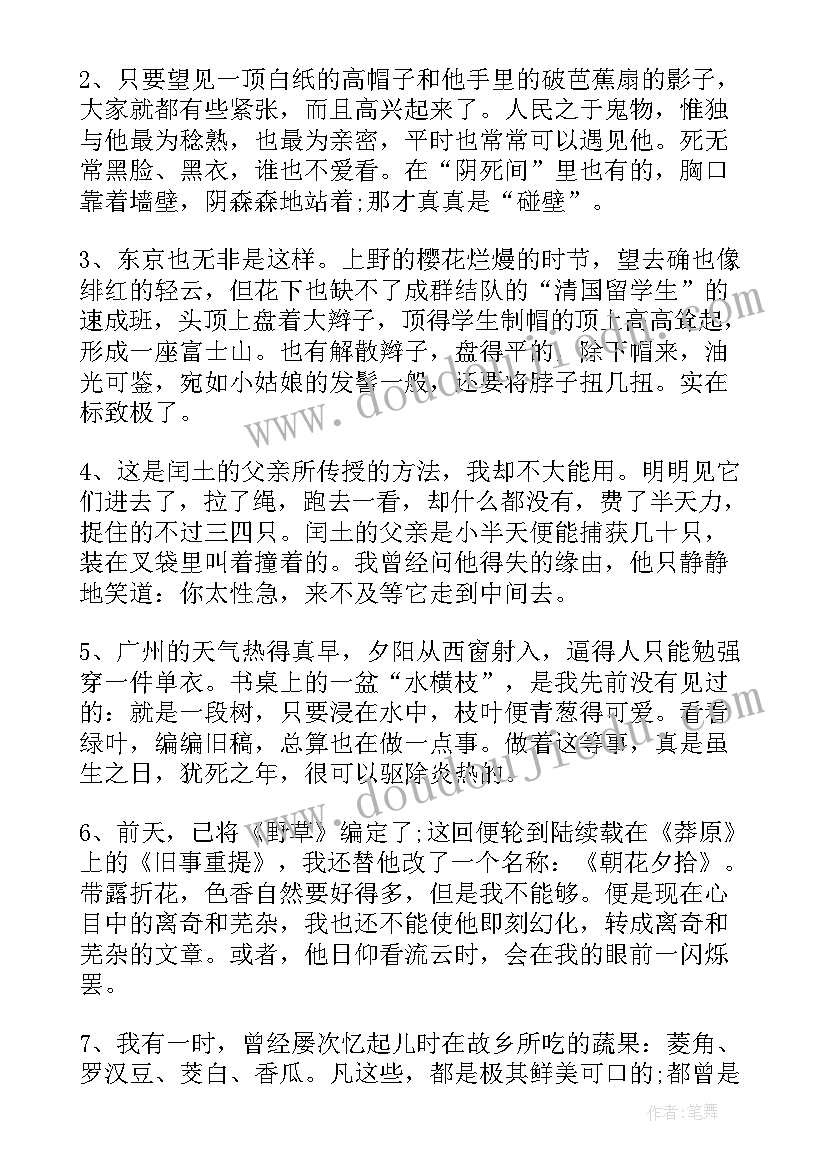 小学生朝花夕拾读后感 朝花夕拾读后感小学生(汇总8篇)