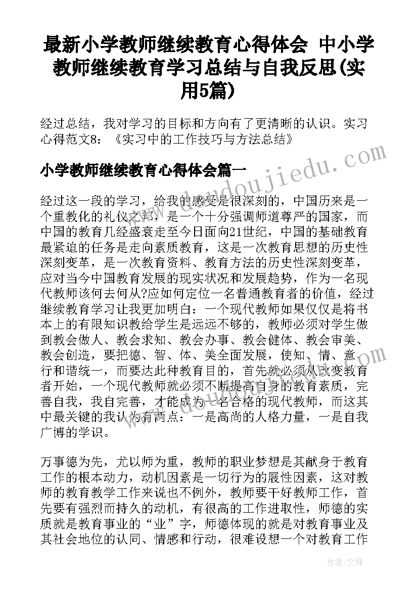 最新小学教师继续教育心得体会 中小学教师继续教育学习总结与自我反思(实用5篇)