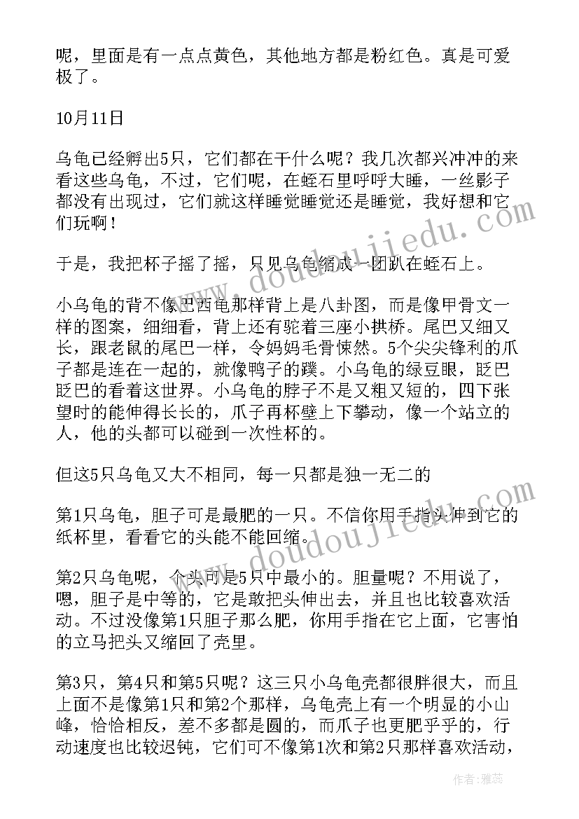 四年级小乌龟 小学四年级观察日记乌龟(模板8篇)