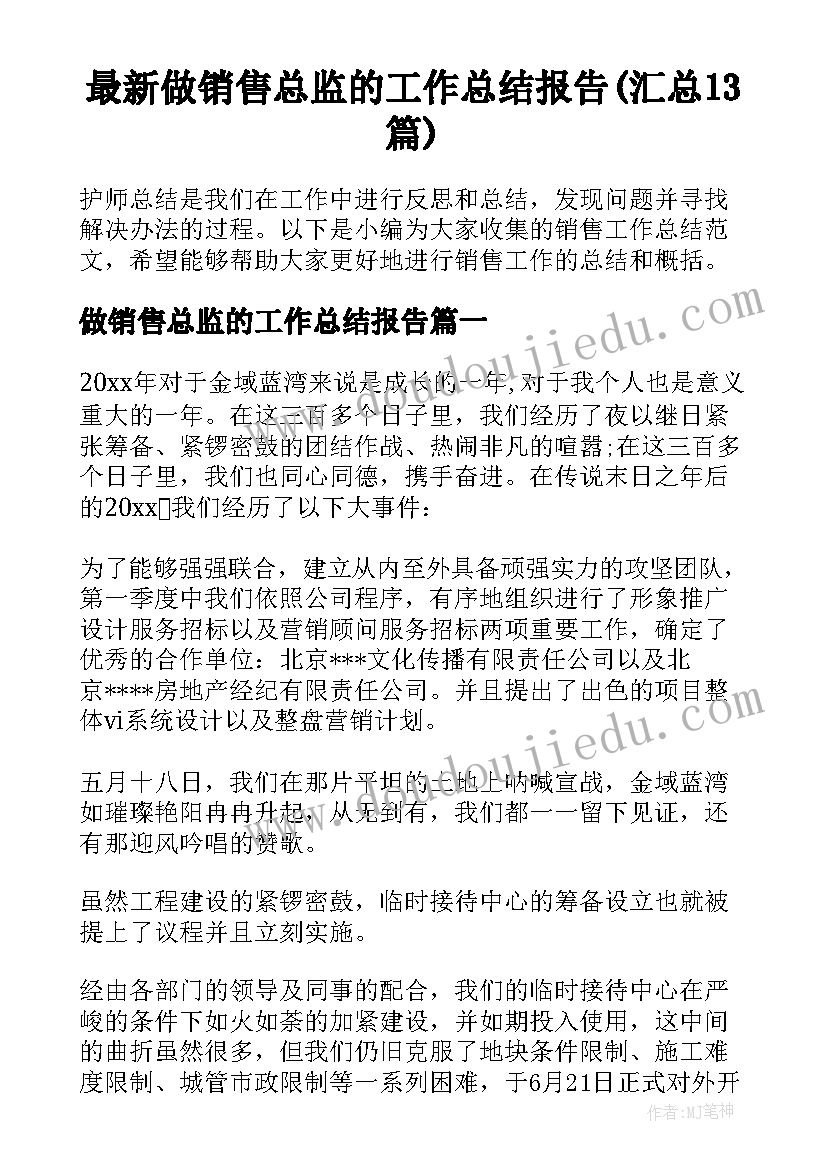 最新做销售总监的工作总结报告(汇总13篇)