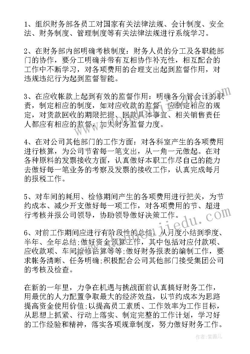 最新个人财务工作计划 财务个人工作计划(精选8篇)