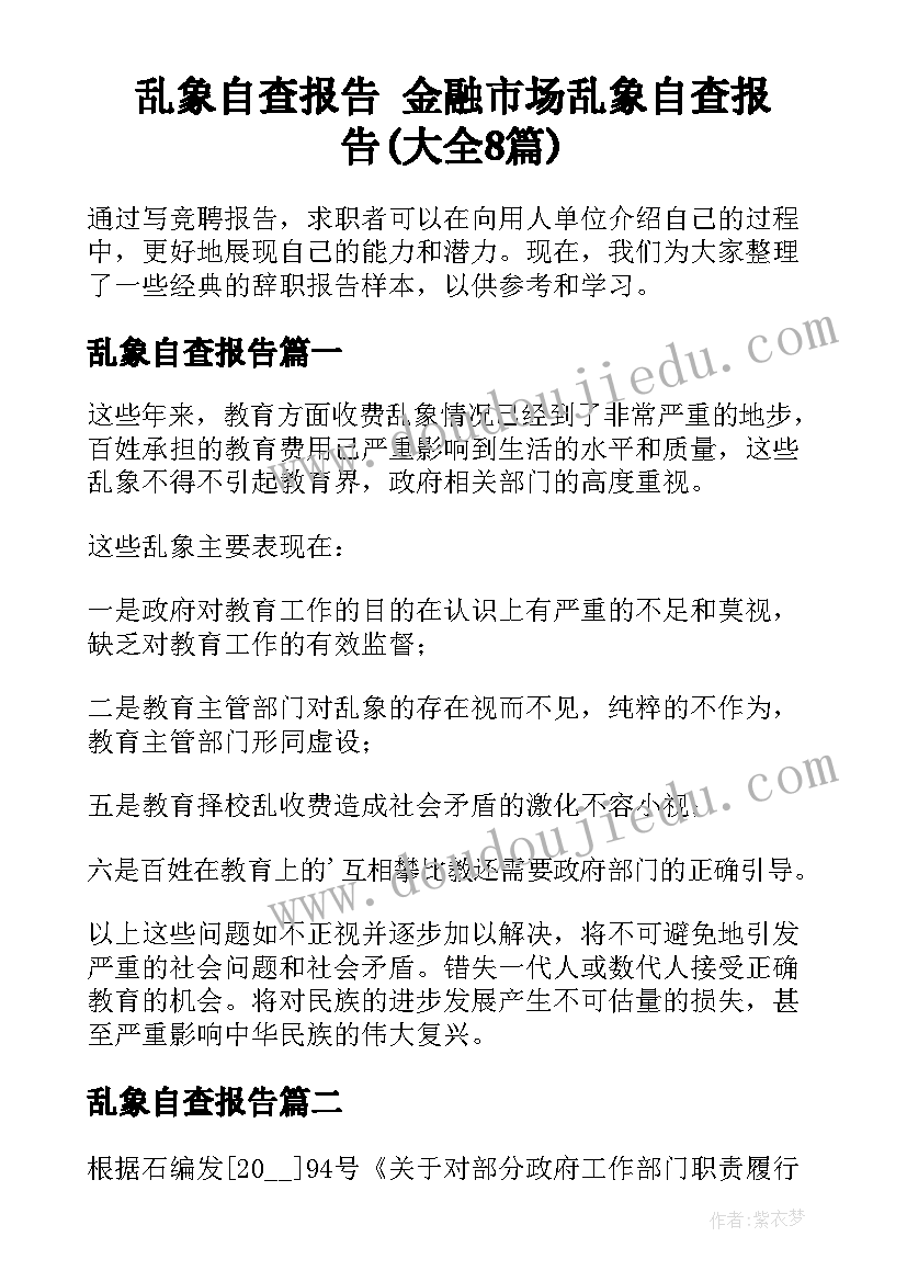 乱象自查报告 金融市场乱象自查报告(大全8篇)