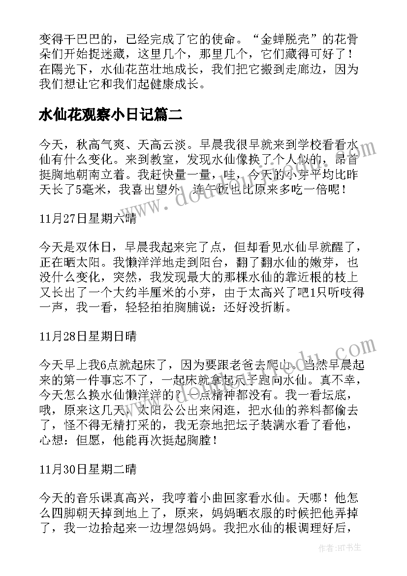 最新水仙花观察小日记(模板10篇)