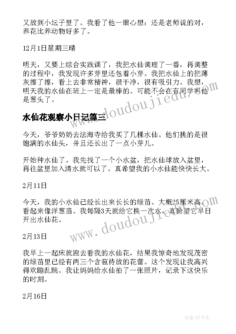 最新水仙花观察小日记(模板10篇)