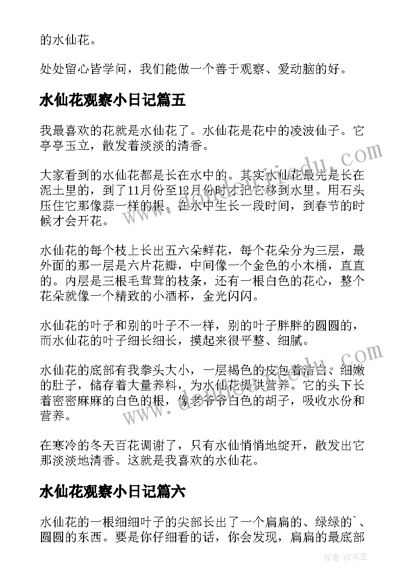 最新水仙花观察小日记(模板10篇)