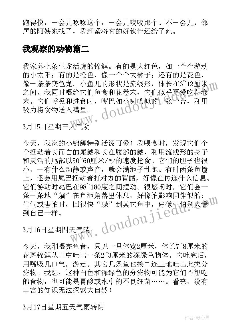 2023年我观察的动物 动物观察日记(精选6篇)