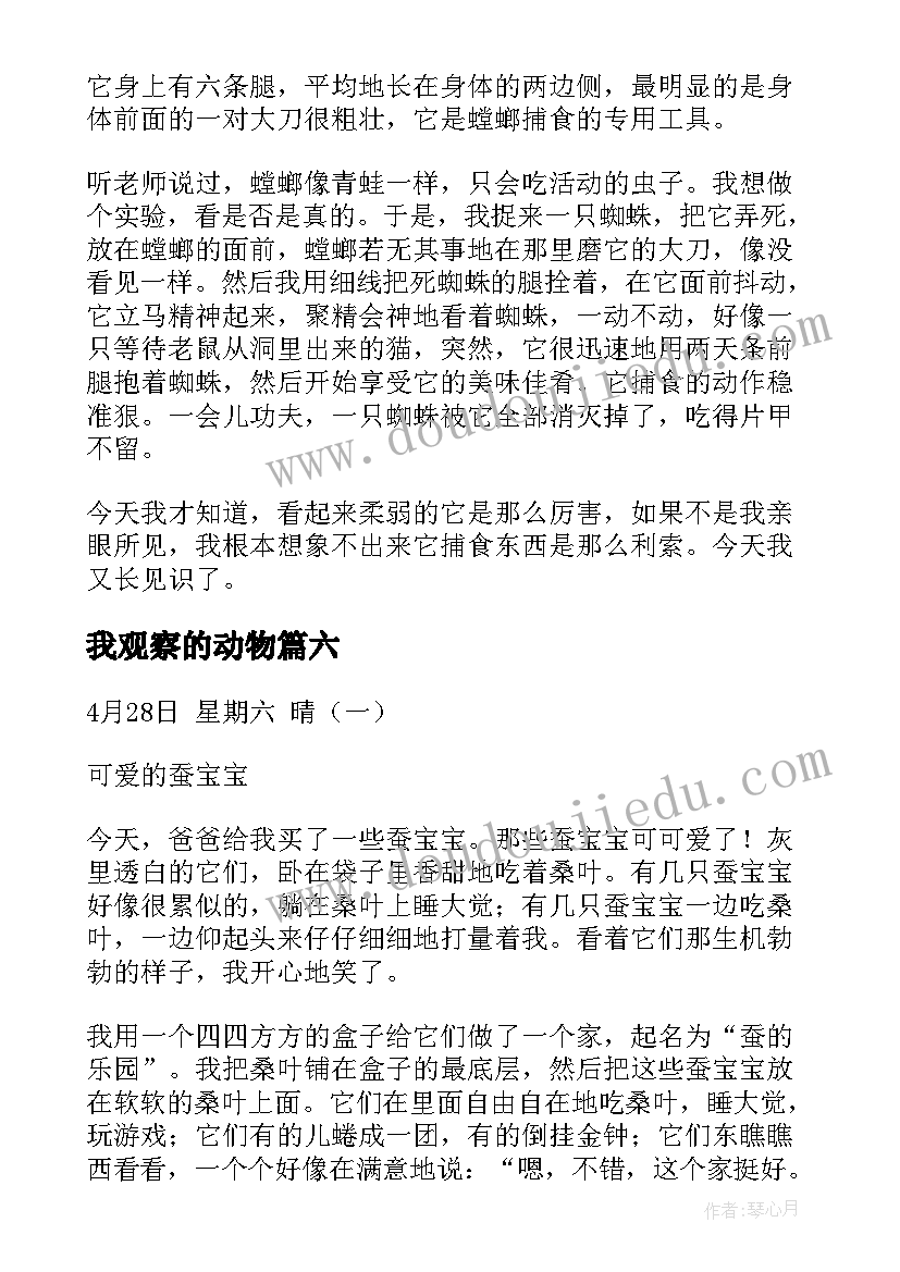 2023年我观察的动物 动物观察日记(精选6篇)