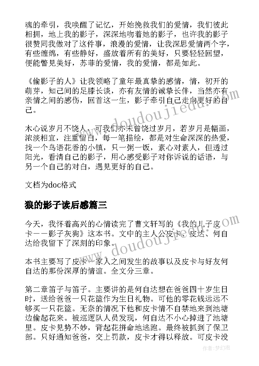 狼的影子读后感 追风的影子读后感追风的影子读后感(实用10篇)