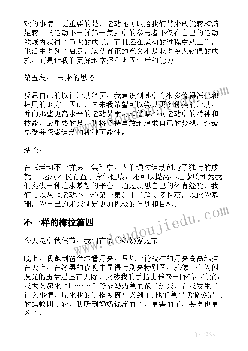 不一样的梅拉 坚守不一样的岗位心得体会(汇总18篇)