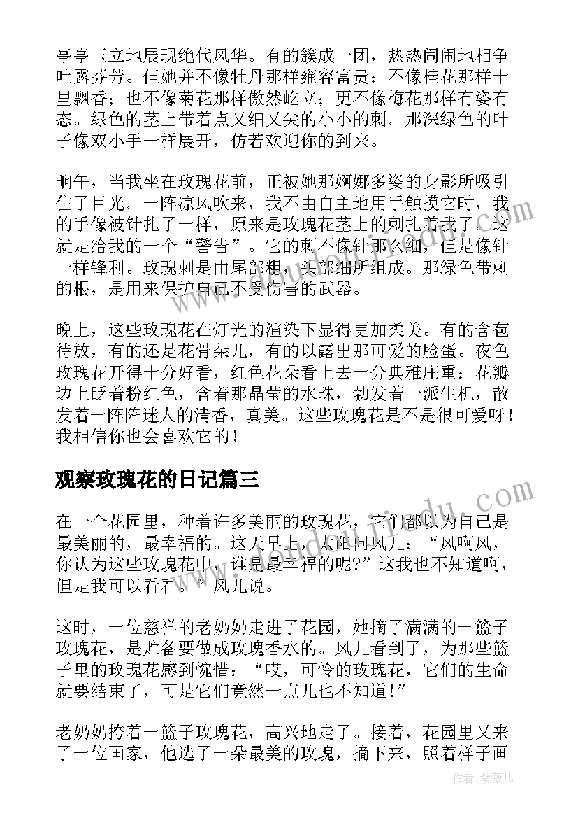 2023年观察玫瑰花的日记(精选20篇)