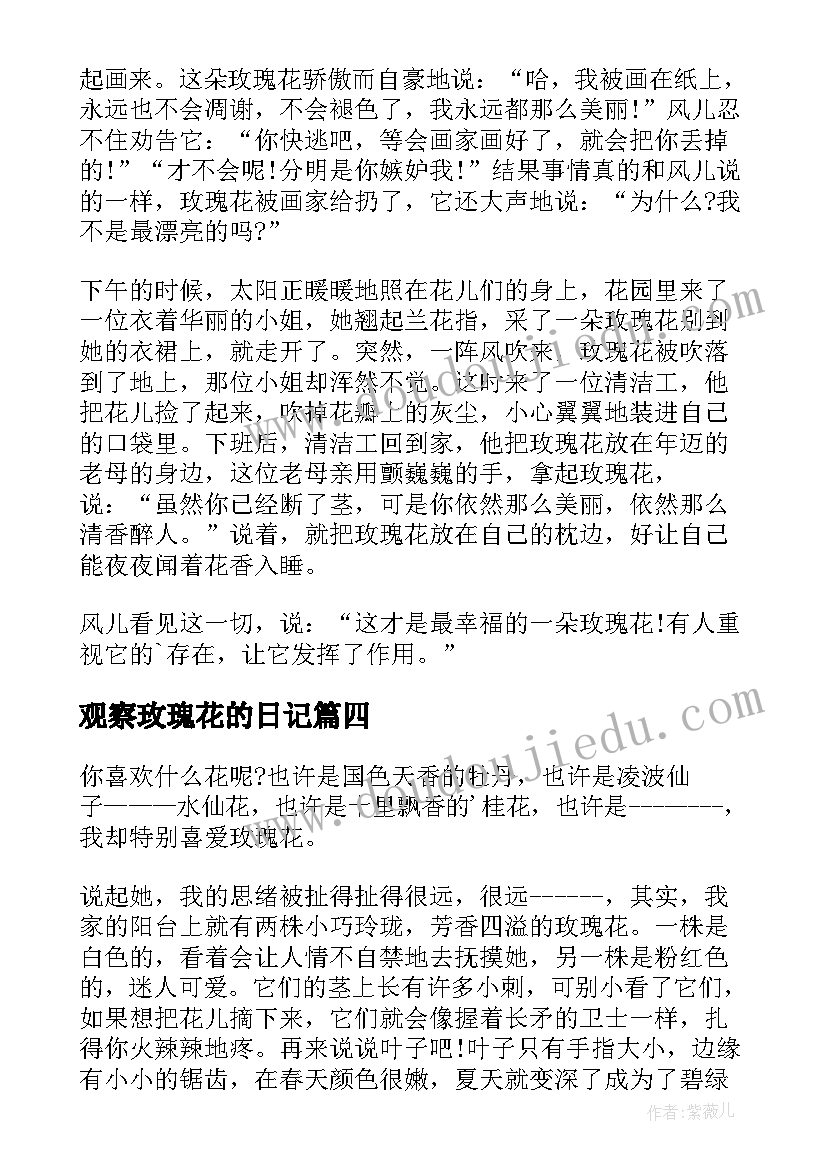 2023年观察玫瑰花的日记(精选20篇)