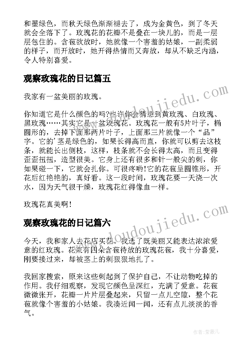 2023年观察玫瑰花的日记(精选20篇)