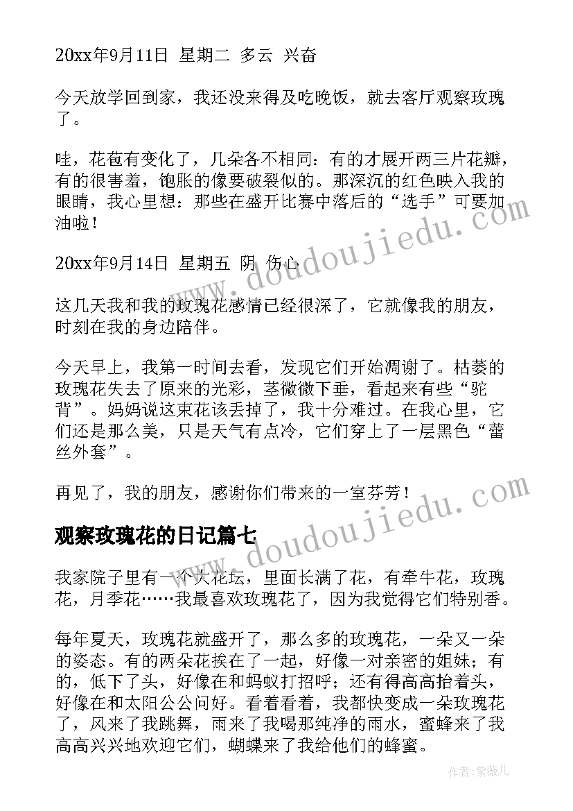 2023年观察玫瑰花的日记(精选20篇)