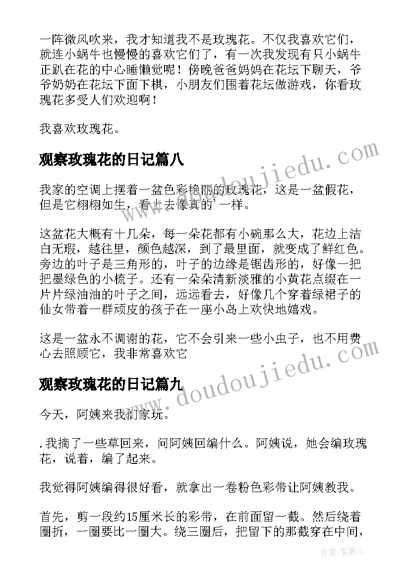 2023年观察玫瑰花的日记(精选20篇)