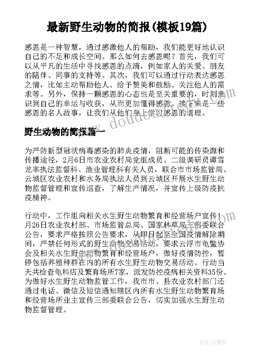 最新野生动物的简报(模板19篇)