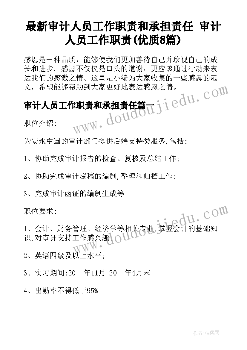 最新审计人员工作职责和承担责任 审计人员工作职责(优质8篇)