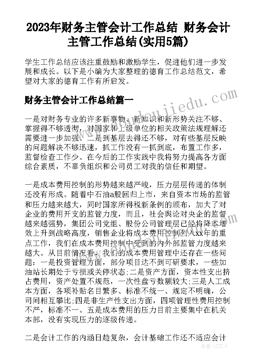 2023年财务主管会计工作总结 财务会计主管工作总结(实用5篇)