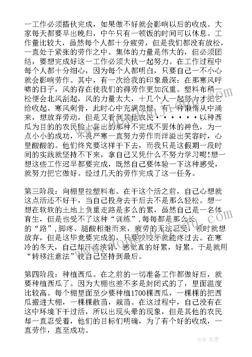 最新研究生社会实践活动总结报告(汇总8篇)