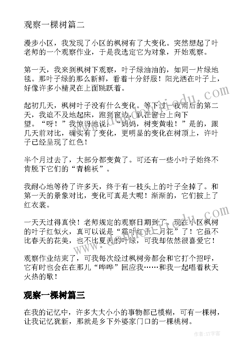 观察一棵树 观察一棵树日记(大全8篇)