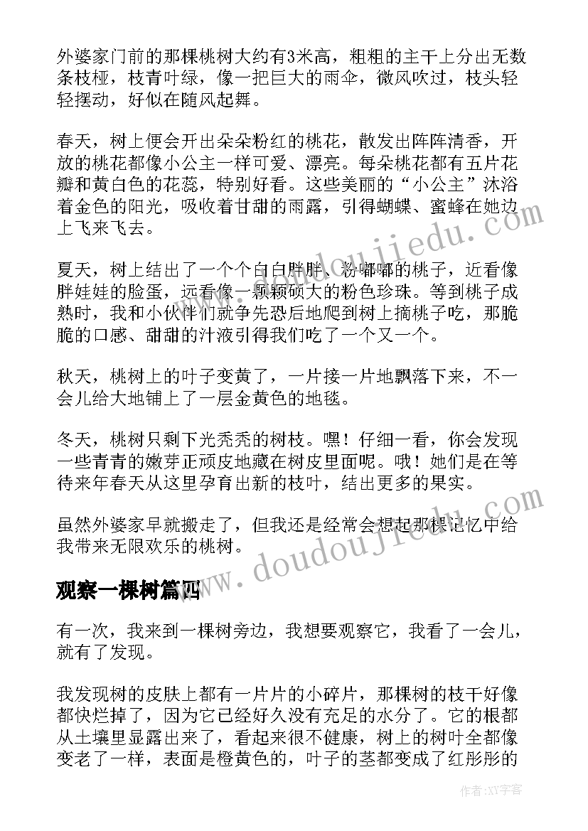 观察一棵树 观察一棵树日记(大全8篇)