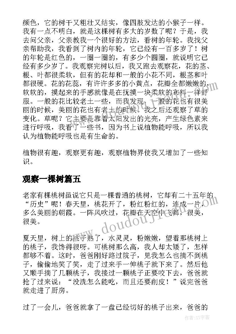 观察一棵树 观察一棵树日记(大全8篇)